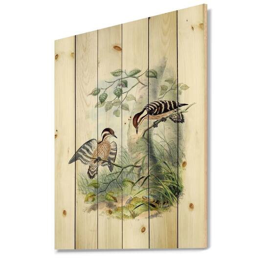 Designart - Vintage Birds In The Wild I - Traditional Print on Natural Pine Wood